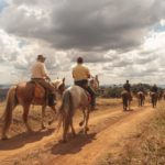 Passeio a Cavalos Fazendas Históricas do Mangalarga Marchador