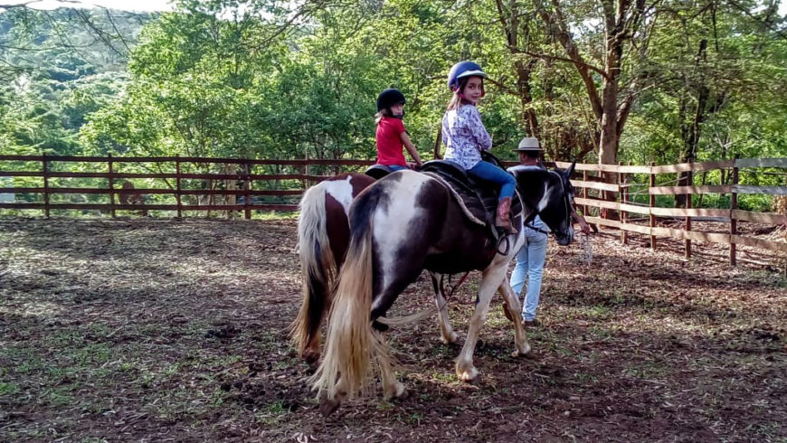 O que é a terapia com cavalos - Equoterapia