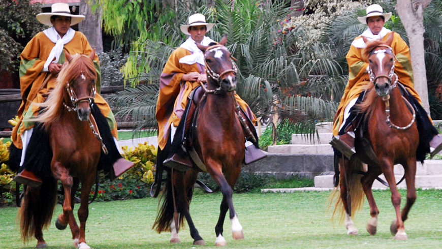 Conheça o cavalo Peruano de Paso